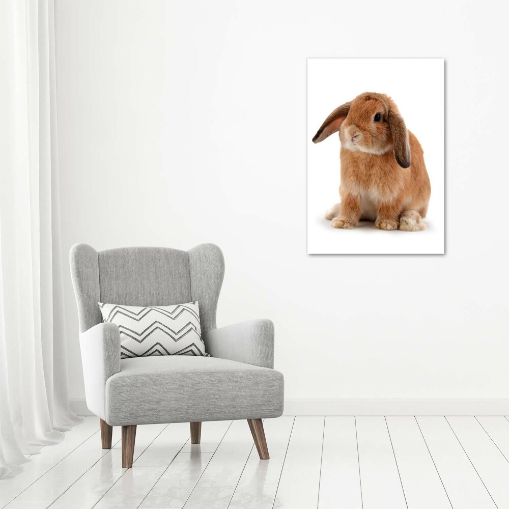 Wall art canvas large Rabbit