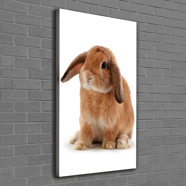 Wall art canvas large Rabbit