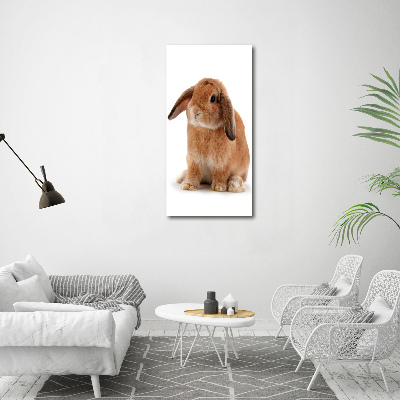 Wall art canvas large Rabbit