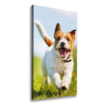 Large canvas wall art Jack Russell dog