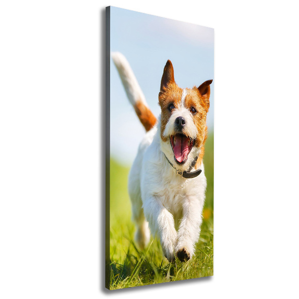 Large canvas wall art Jack Russell dog