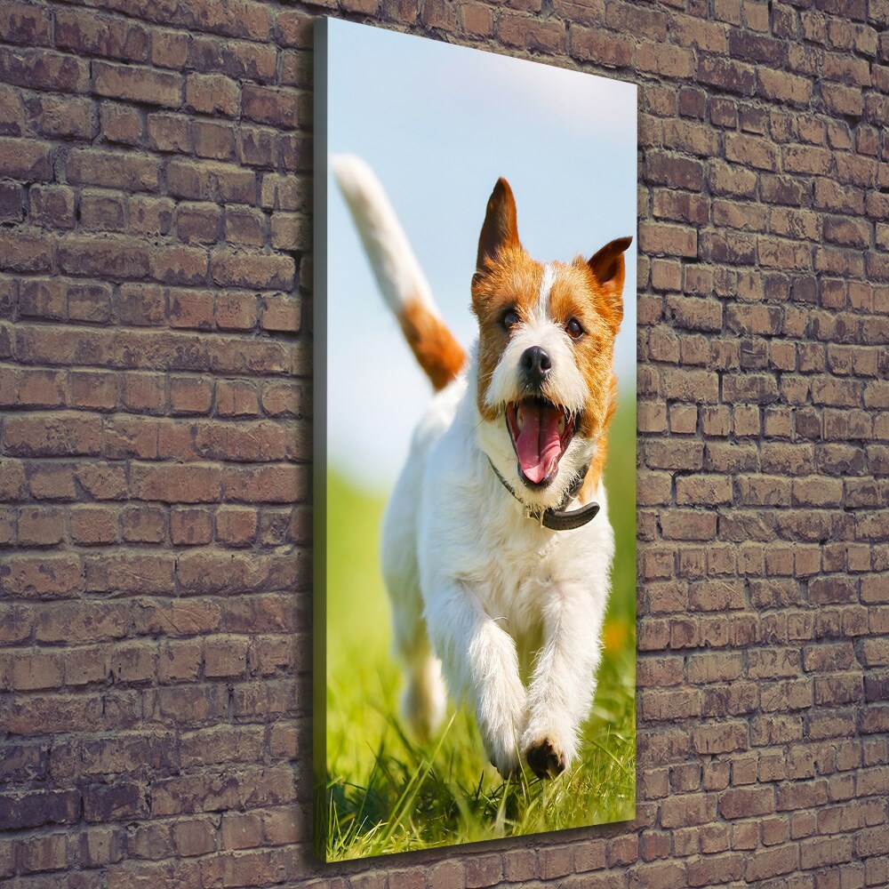 Large canvas wall art Jack Russell dog