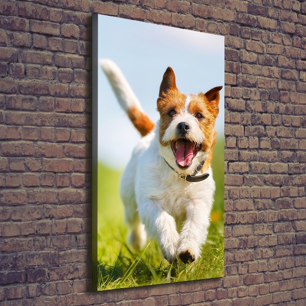 Large canvas wall art Jack Russell dog