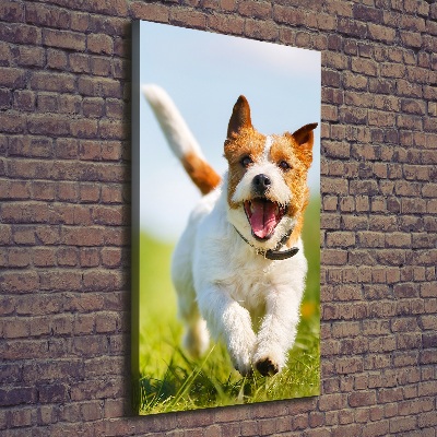 Large canvas wall art Jack Russell dog