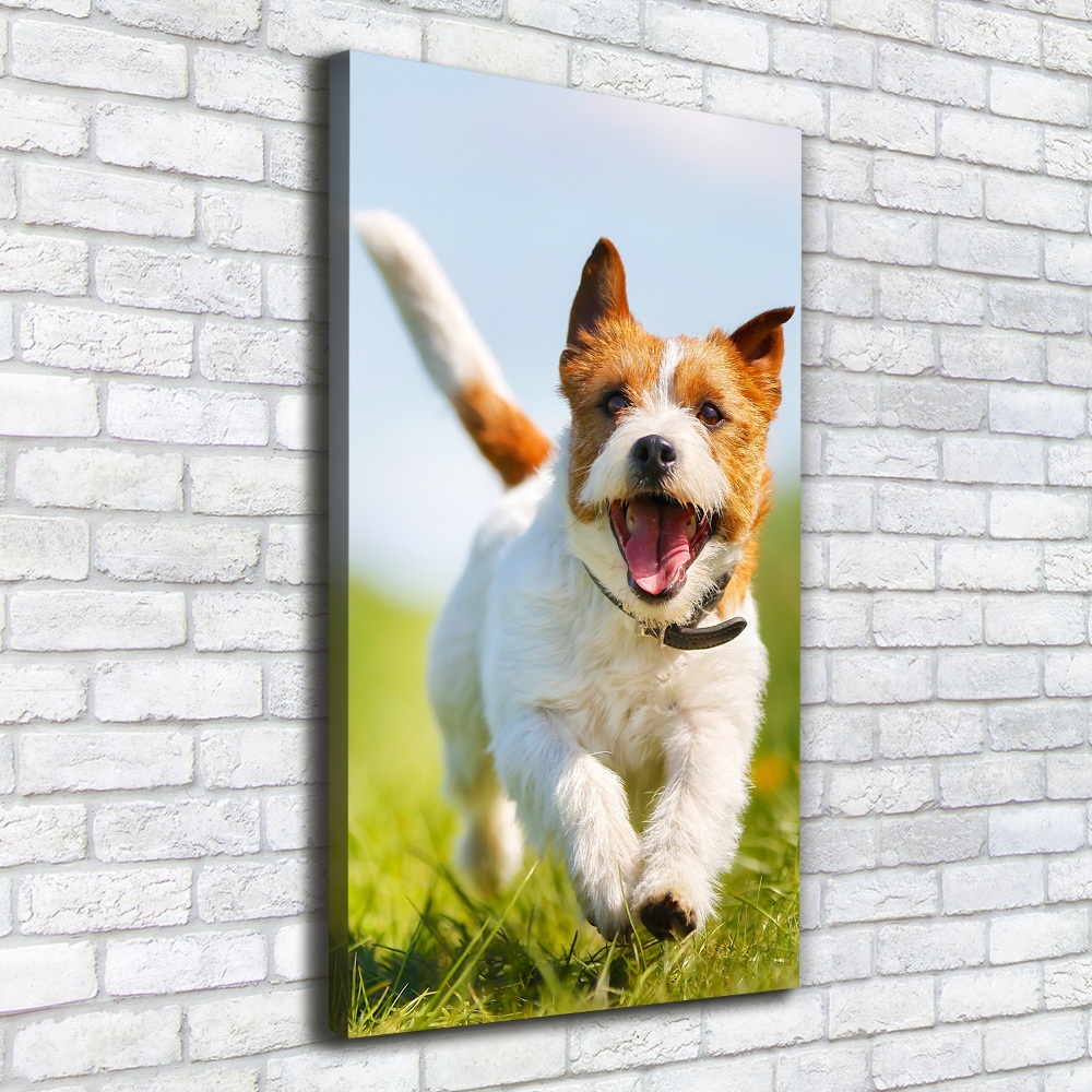 Large canvas wall art Jack Russell dog