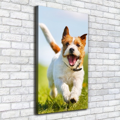 Large canvas wall art Jack Russell dog