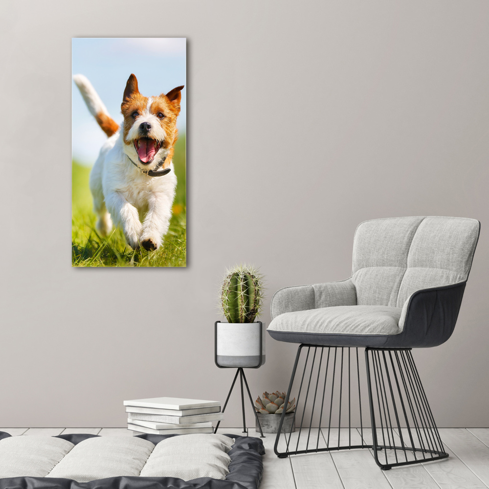 Large canvas wall art Jack Russell dog