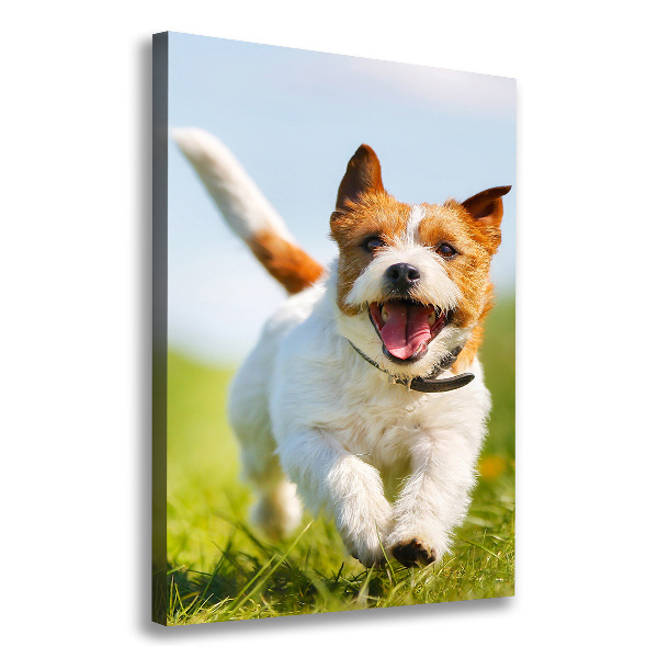 Large canvas wall art Jack Russell dog