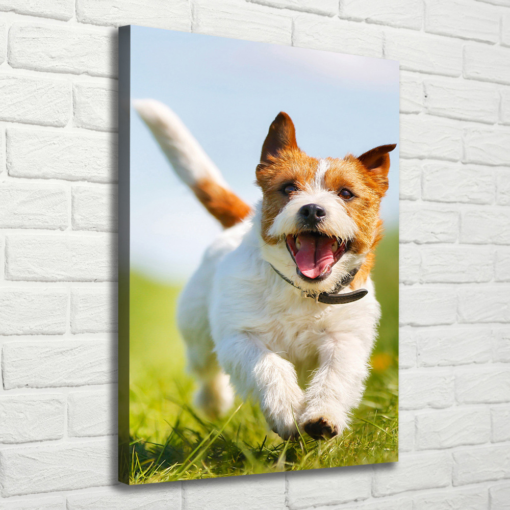 Large canvas wall art Jack Russell dog