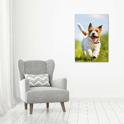 Large canvas wall art Jack Russell dog