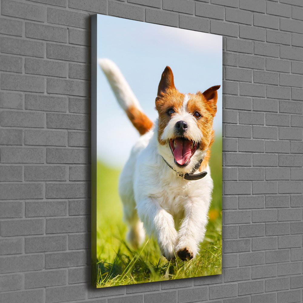 Large canvas wall art Jack Russell dog