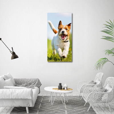 Large canvas wall art Jack Russell dog