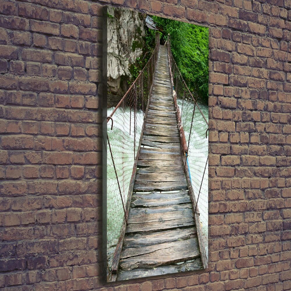 Canvas wall art Hanging bridge