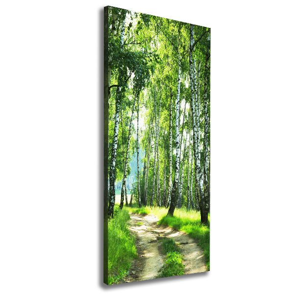 Canvas wall art Birch forest