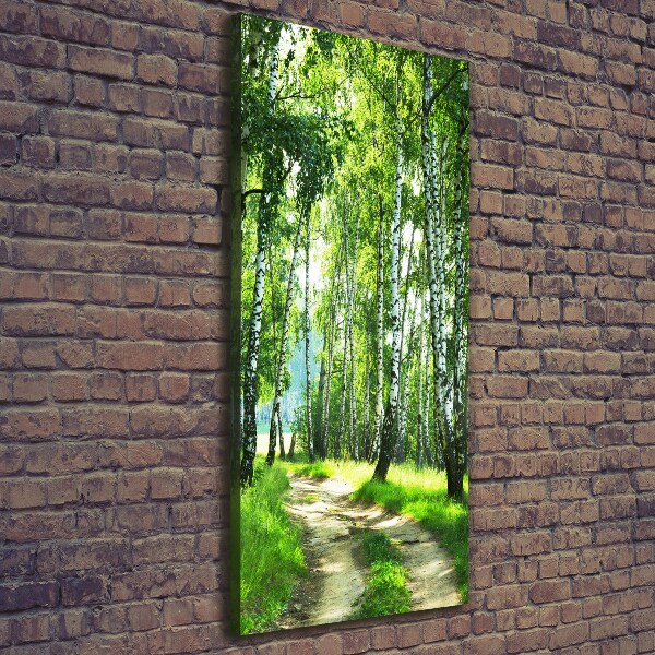 Canvas wall art Birch forest