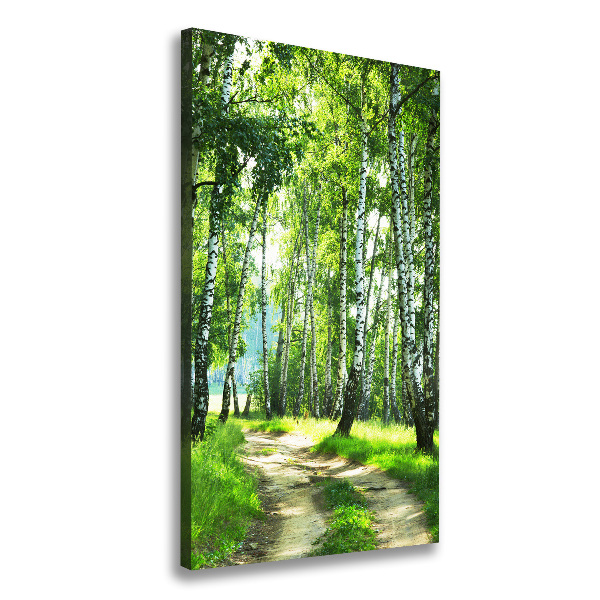 Canvas wall art Birch forest