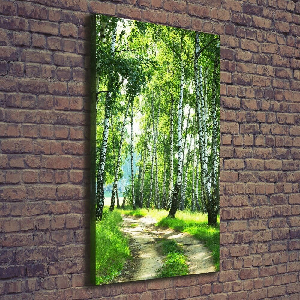 Canvas wall art Birch forest