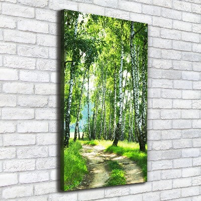 Canvas wall art Birch forest