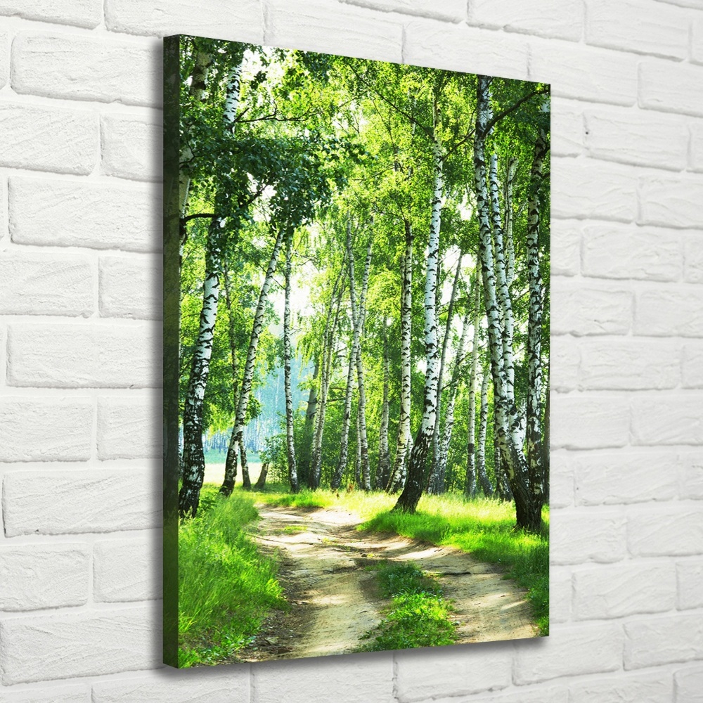 Canvas wall art Birch forest