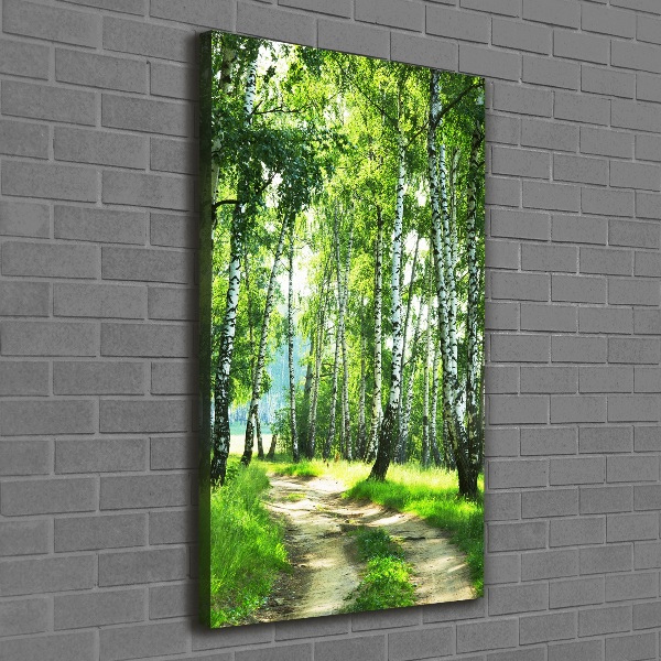 Canvas wall art Birch forest