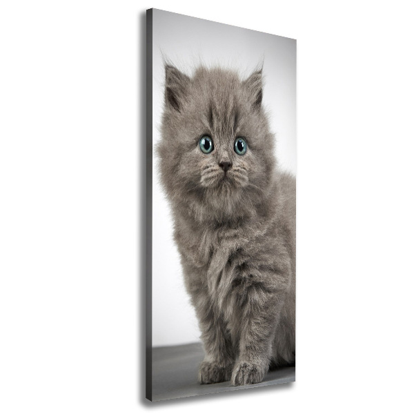 Large canvas wall art Gray British cat