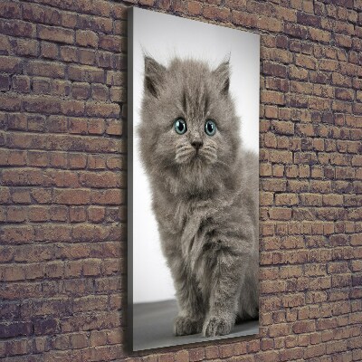 Large canvas wall art Gray British cat