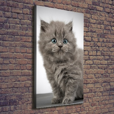 Large canvas wall art Gray British cat