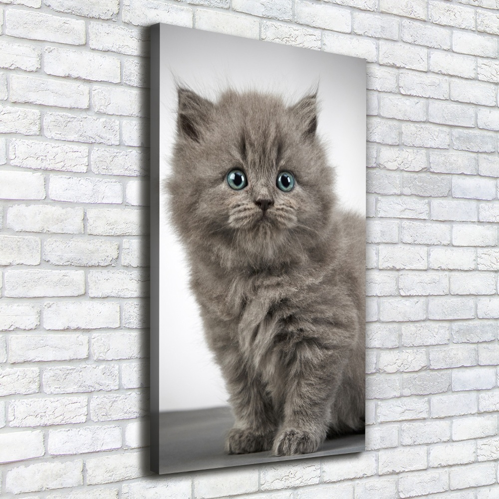 Large canvas wall art Gray British cat