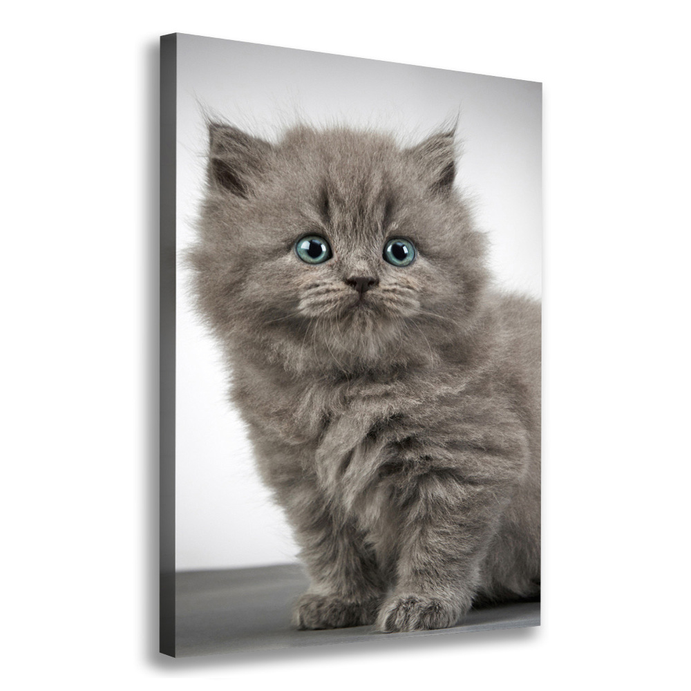 Large canvas wall art Gray British cat