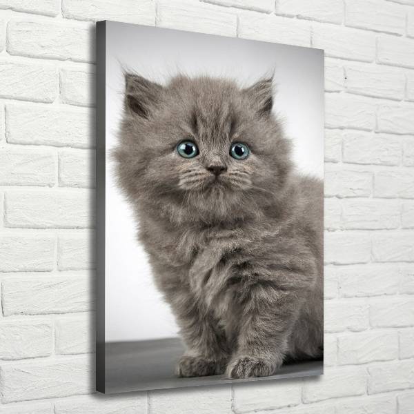 Large canvas wall art Gray British cat