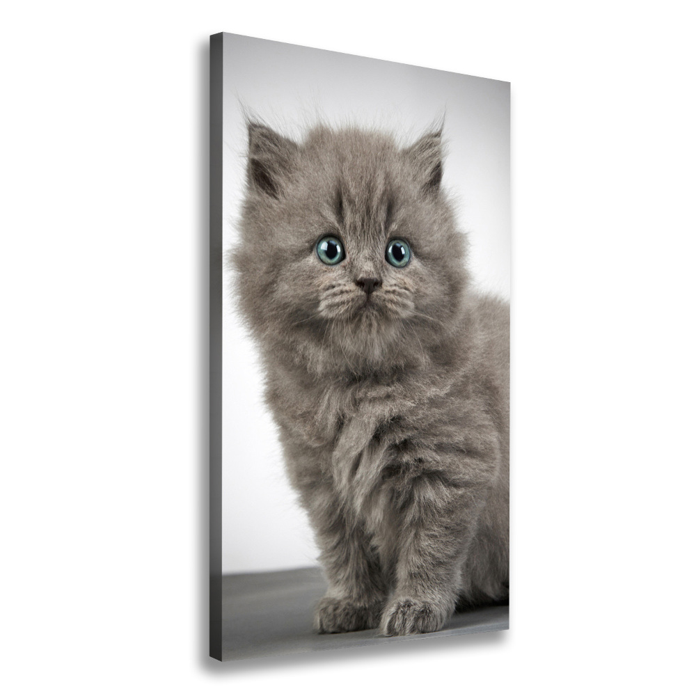 Large canvas wall art Gray British cat