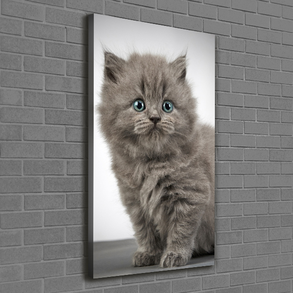 Large canvas wall art Gray British cat