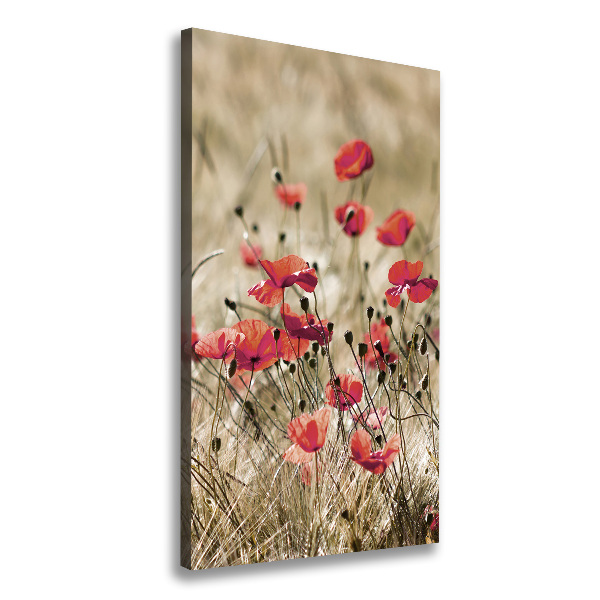 Wall canvas art Field flowers