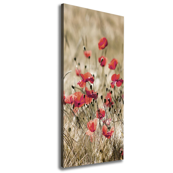 Wall canvas art Field flowers