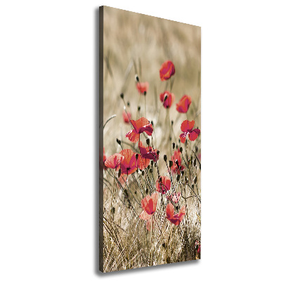 Wall canvas art Field flowers