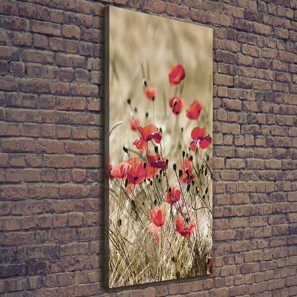 Wall canvas art Field flowers