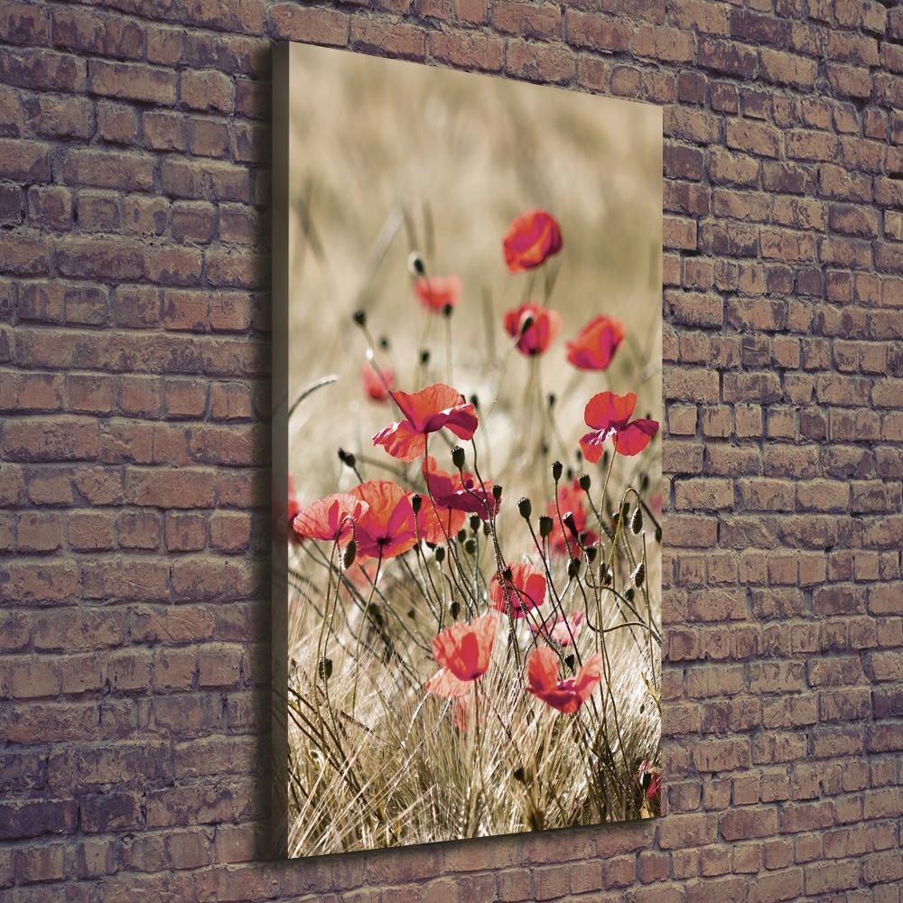 Wall canvas art Field flowers