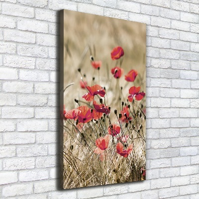 Wall canvas art Field flowers