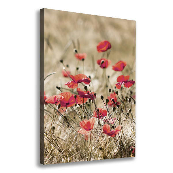 Wall canvas art Field flowers