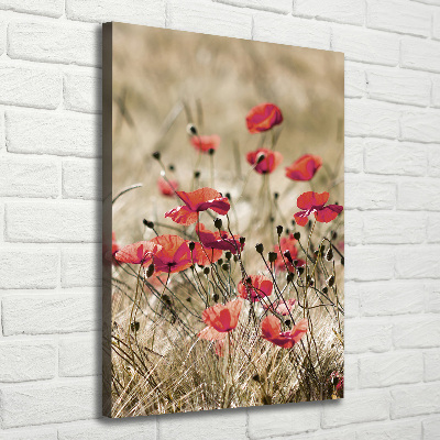 Wall canvas art Field flowers