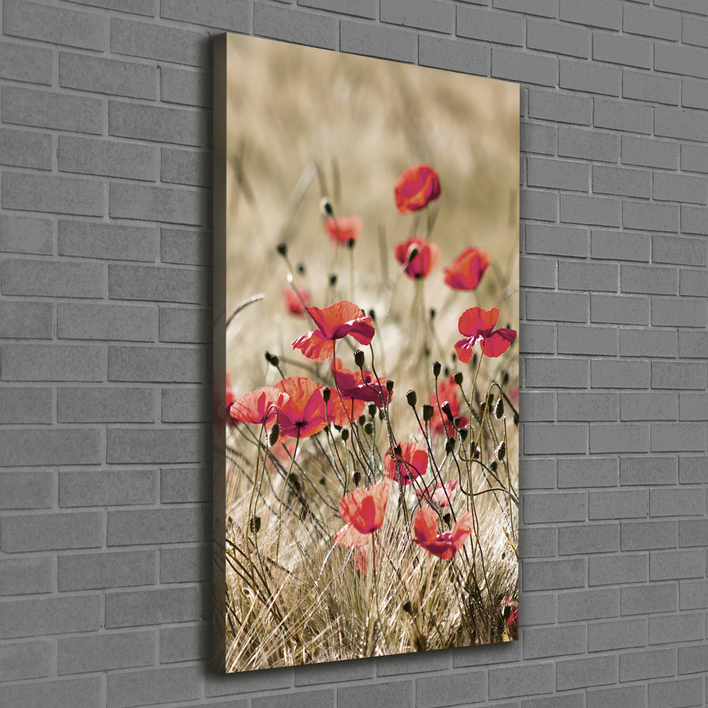 Wall canvas art Field flowers