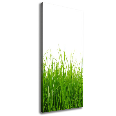 Picture canvas print green grass