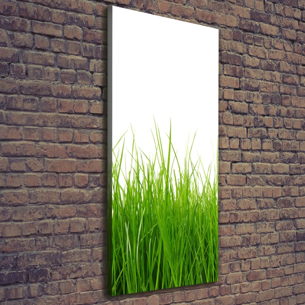 Picture canvas print green grass