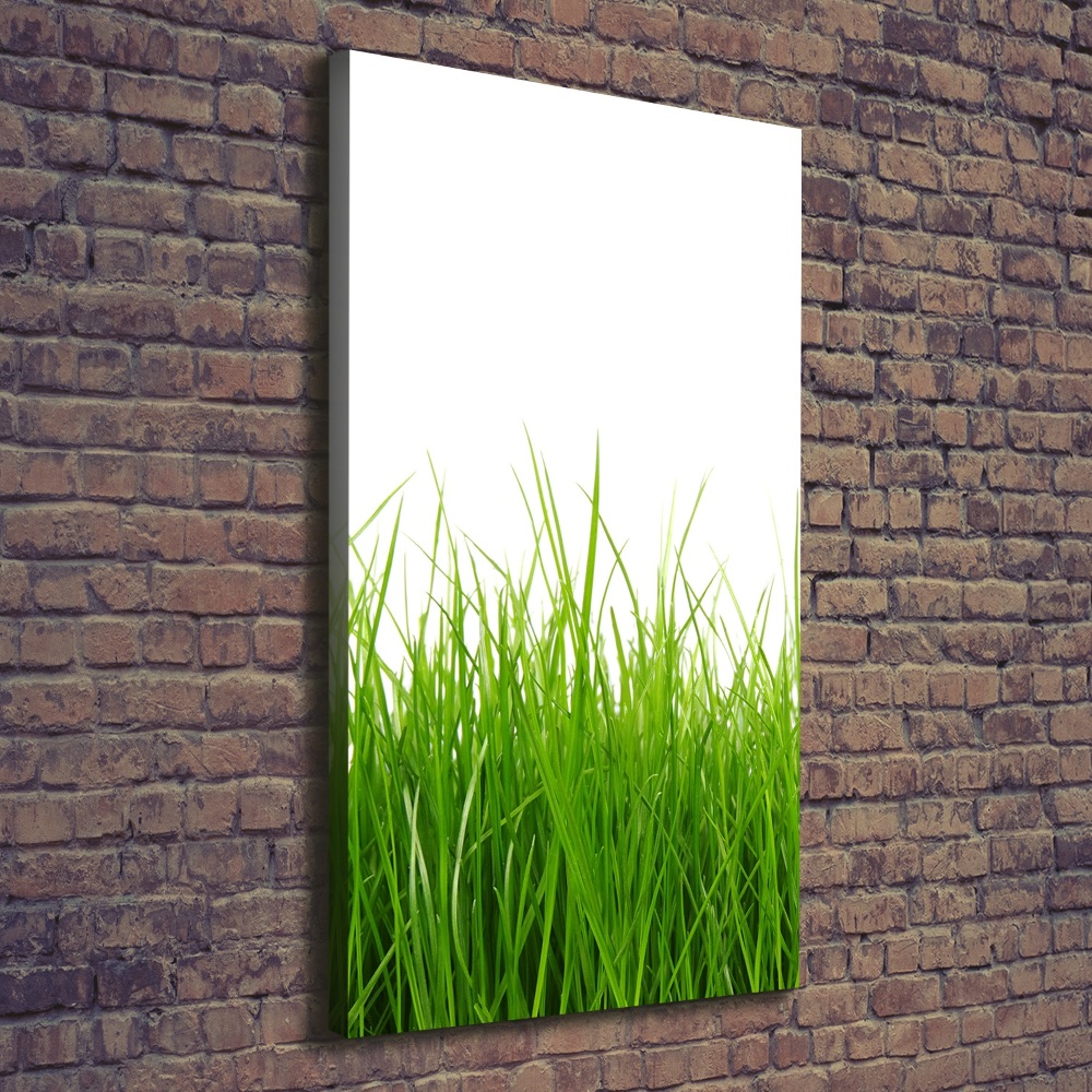 Picture canvas print green grass