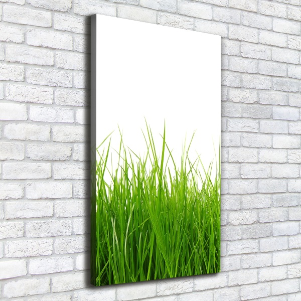 Picture canvas print green grass