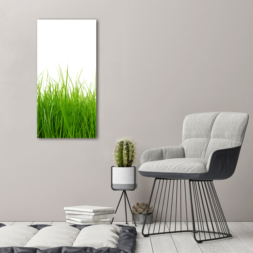 Picture canvas print green grass