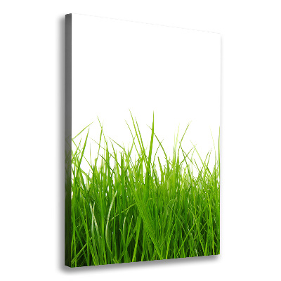 Picture canvas print green grass