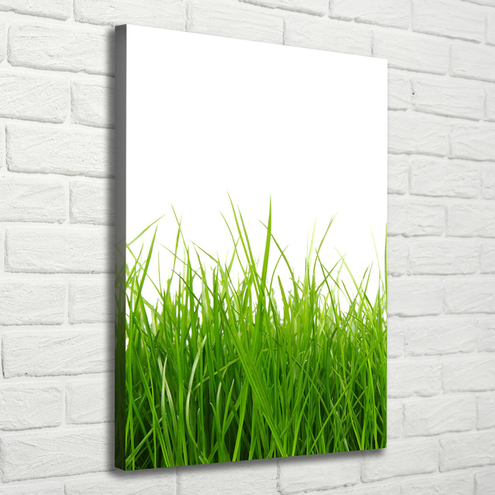 Picture canvas print green grass