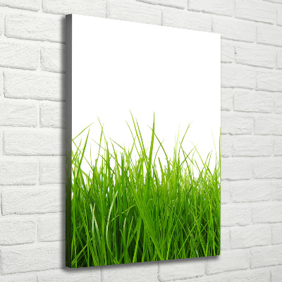 Picture canvas print green grass