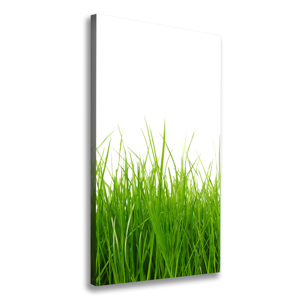 Picture canvas print green grass